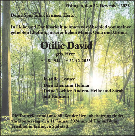 Traueranzeigen aus göppingen Südwest Presse Trauer