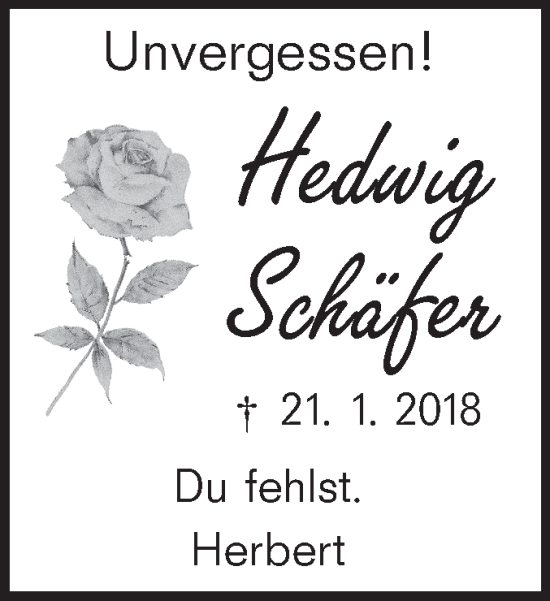 Traueranzeige von Hedwig Schäfer von Alb-Bote/Metzinger-Uracher Volksblatt