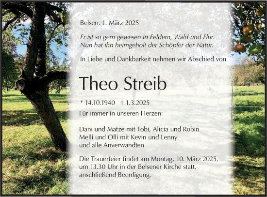 Traueranzeige von Theo Streib von Schwäbische Tagblatt