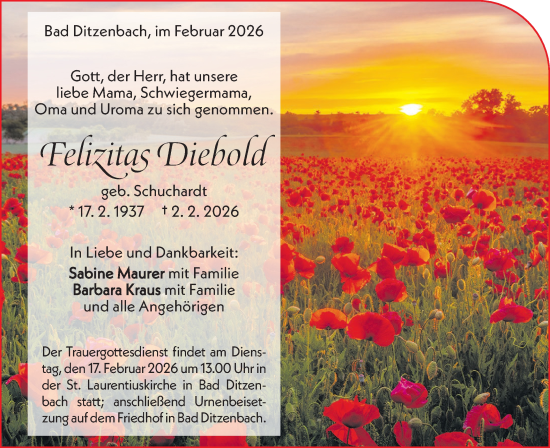 Traueranzeige von Felizitas Diebold von Geislinger Zeitung